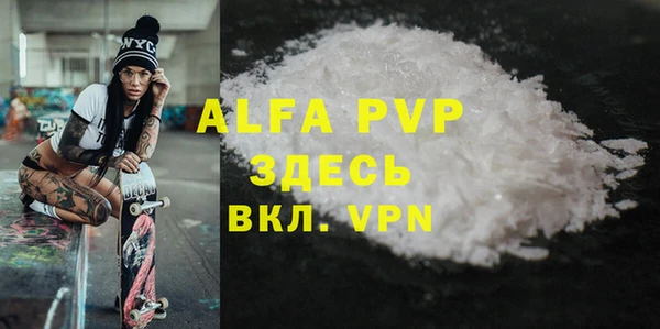 гашик Абаза