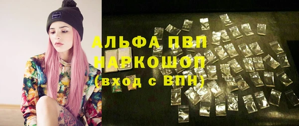 гашик Абаза